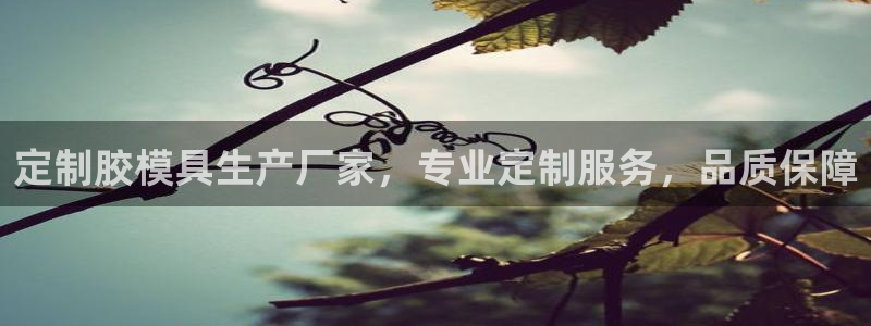 太阳成集团APP：定制胶模具生产厂家，专业定制服务，品质保障