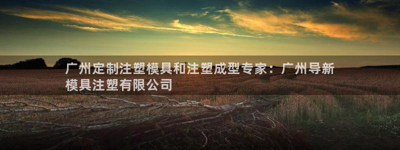 太阳集团公司董事长：广州定制注塑模具和注塑成型专家：广州导新
模具注塑有限公司