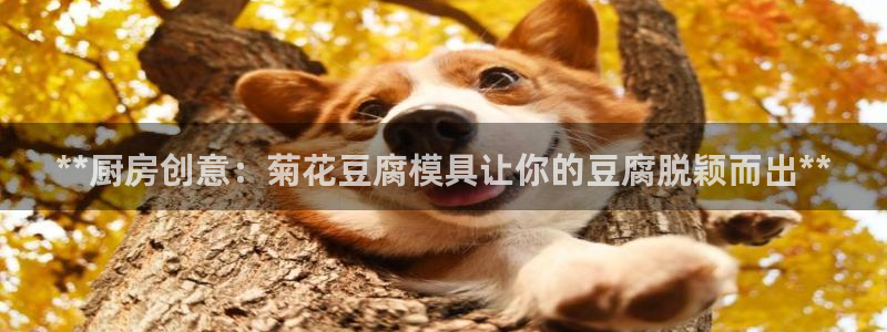太阳成集团古天乐：**厨房创意：菊花豆腐模具让你的豆腐脱颖而出**