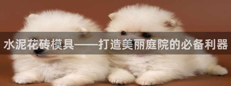 15vip太阳集团官网：水泥花砖模具——打造美丽庭院的必备利器