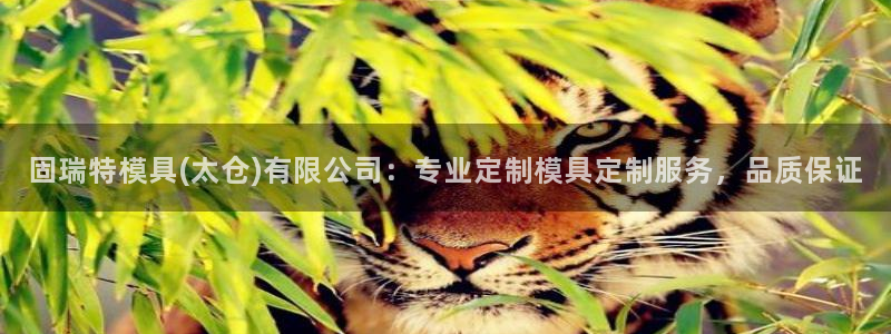 太阳集团城所有网址是多少：固瑞特模具(太仓)有限公司：专业定制模具定制服务，品质保证