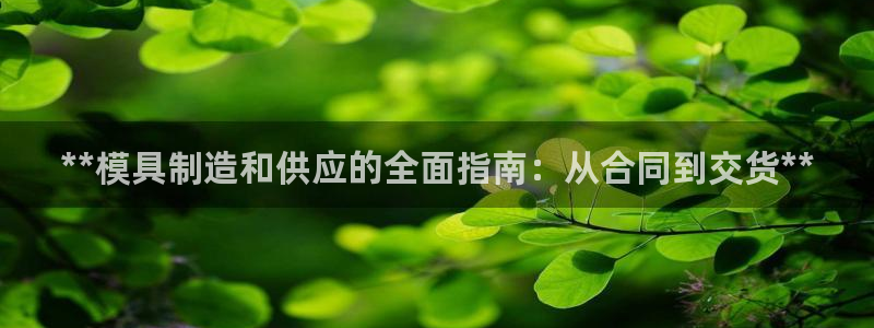 太阳集团网址：**模具制造和供应的全面指南：从合同到交货**